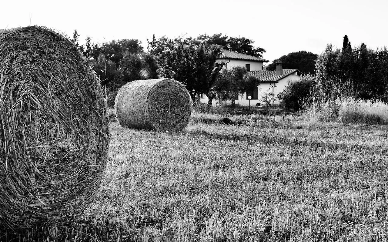 Séjour à la ferme Villa Orti Di Capalbio